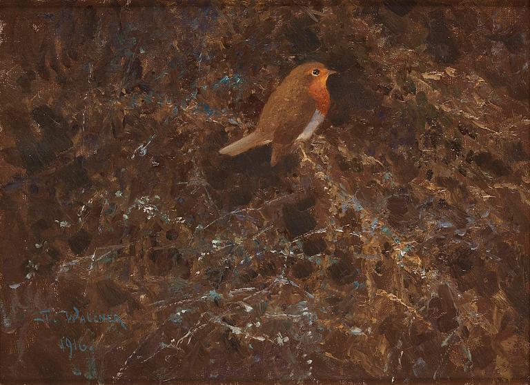 Robin.