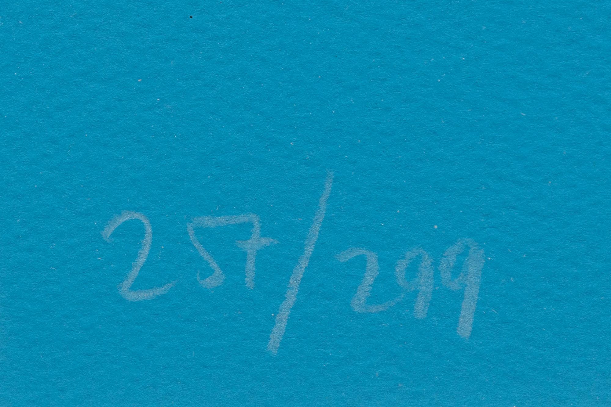 Franco Costa, "Dreaming and Sailing-Down Under-in Sydney and Auckland".