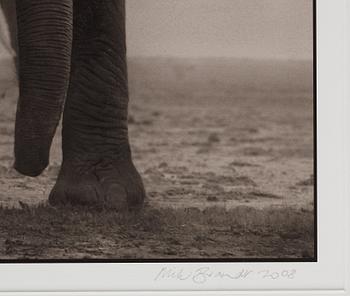 Nick Brandt, "Elephant Five, Amboseli", 2008.