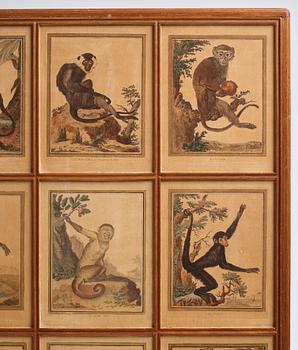 Josef Frank, 'Apskåpet' (The monkey cabinet), a rare cabinet covered with prints of different monkeys, Svenskt Tenn, Sweden ca 1941.