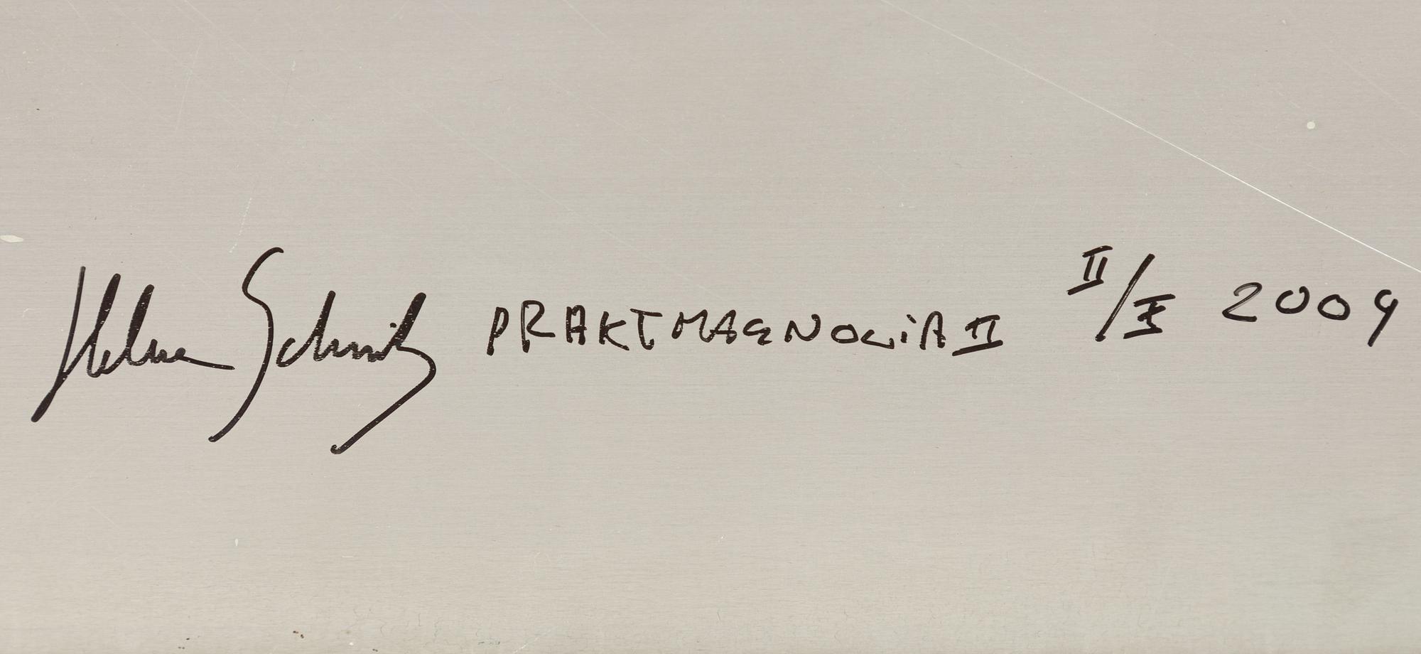 Helene Schmitz, "Praktmagnolia 2", 2004.