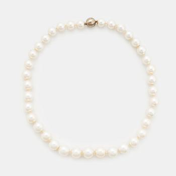 407. A cultured South Sea pearl necklace.