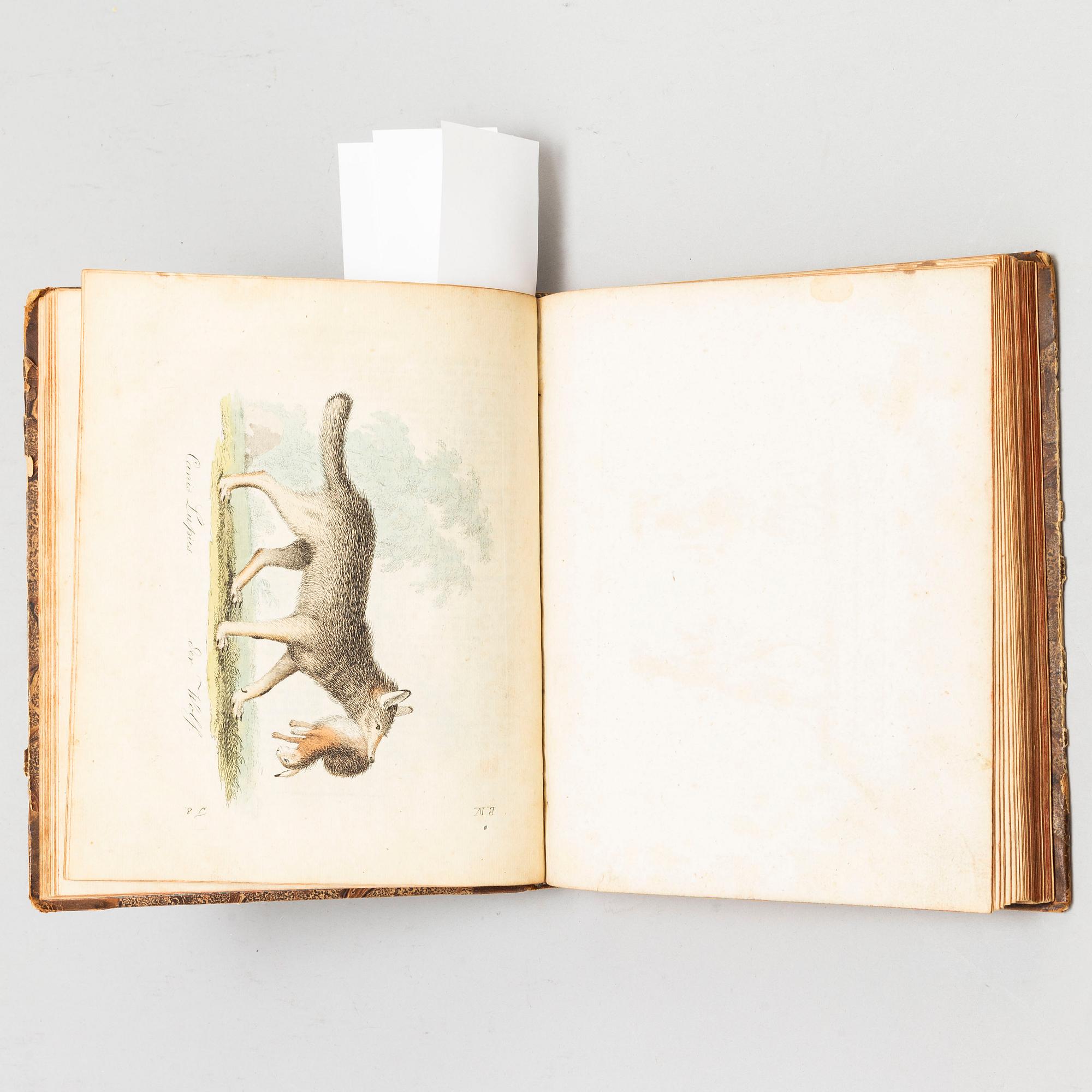 BOOK, with hand coloured dry needle engravings.