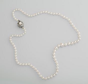 PÄRLCOLLIER, odlade pärlor med silverlås.