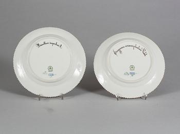 ASSIETTER, 2 st, porslin, modell "3573", "Flora Danica", Royal Copenhagen.