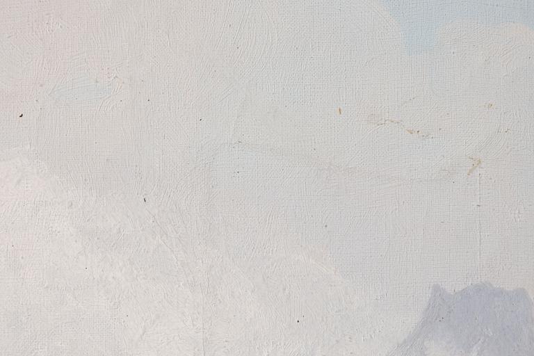 Olof Walfrid Nilsson, From Kebnekaise.