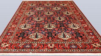 Matta, Baktiari, 300 x 212 cm.