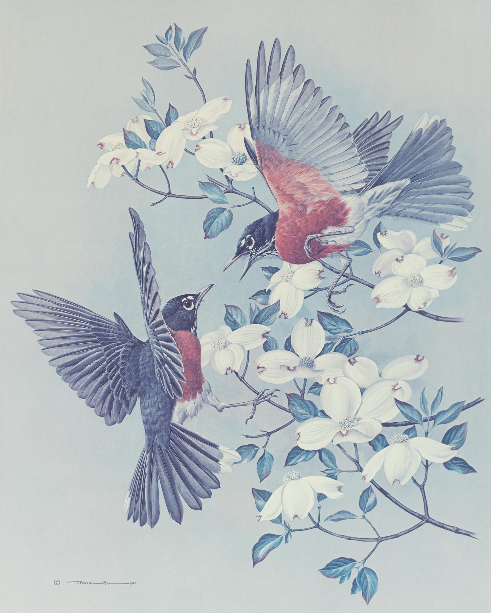 Basil Ede, "American Robins".