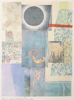 Robert Rauschenberg, "Louisiana".