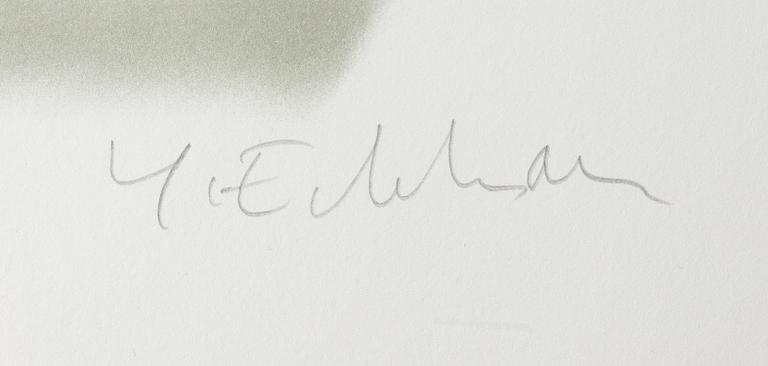 Yrjö Edelmann, "Packed blue and grey heaven".