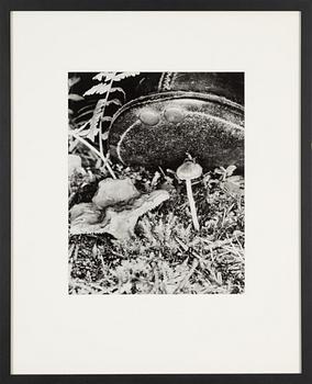 Lennart Nilsson, photograph, signed.
