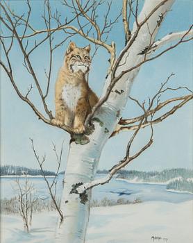 Mary Koski, Rovdjur.