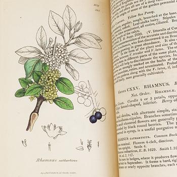 BOOKS, 12 volumes, 'English Botany' by Sir James Edward Smith, James Sowerby, London, 1832-46.