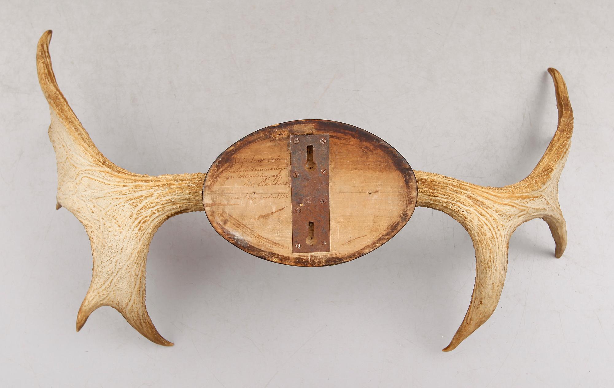 ÄLGHORN, daterad 1906.