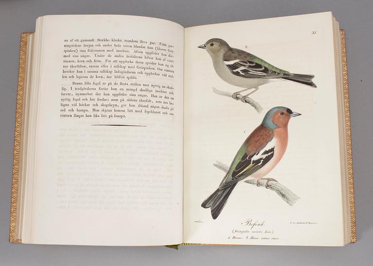 ILLUMINERADE FIGURER TILL SKANDINAVIENS FAUNA MED TEXT UTGIFNE.1-2. S.NILSSON. (Stockholm)& Lund 1832-1840.