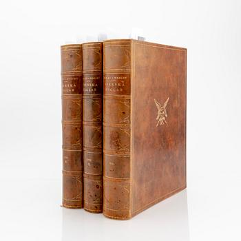 The von Wright brothers, three volumes "Svenska Fåglar", Börtzells tryckeri AB, Stockholm 1927-1929.