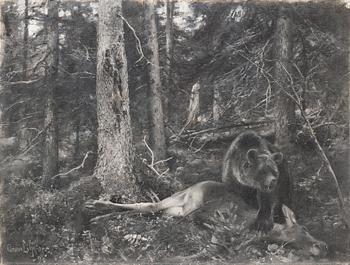 Bruno Liljefors, Bear with prey.