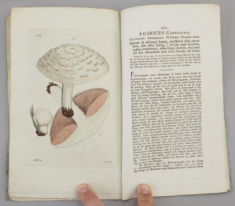 JOHAN WILHELM PALMSTRUCH, "Svensk Botanik, vol I-V. 1803-1805.