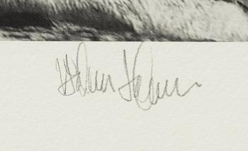 Håkan Ludwigson, 'Londolozi', 2008.