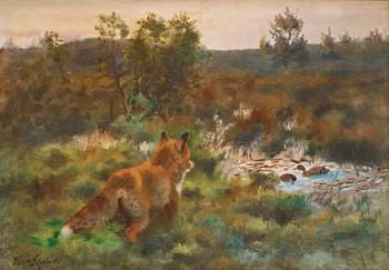 658. Bruno Liljefors, Fox and Mallards in a Summer Landscape.