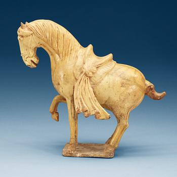 A yellow glazed pottery figure of a horze, Tang dynasty, (618-906).