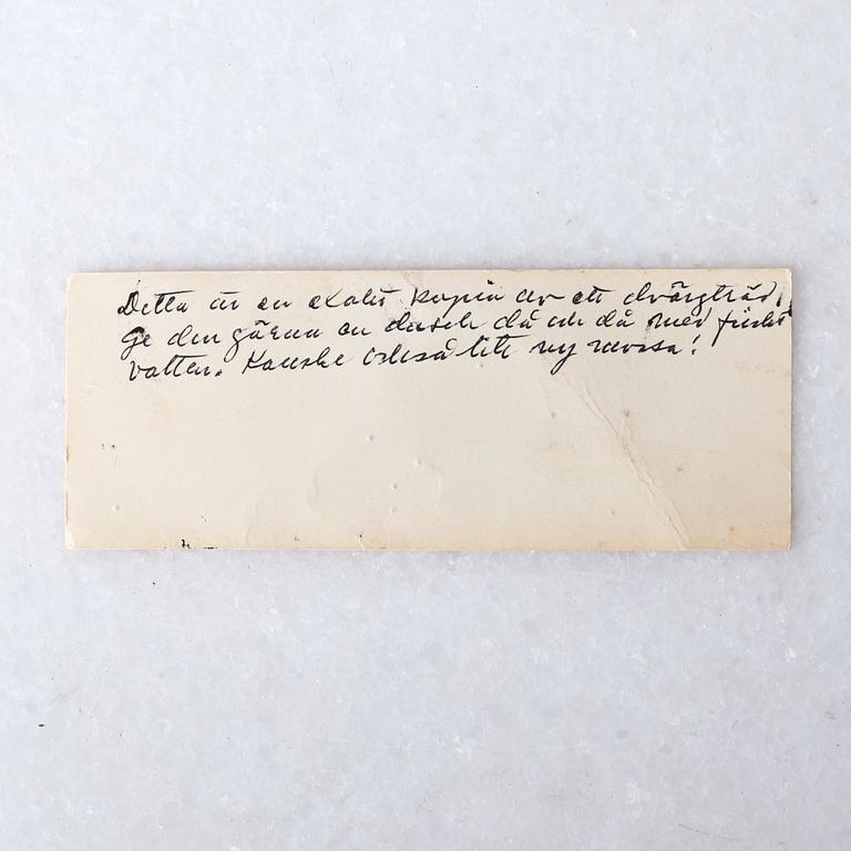 Estrid Ericson, kruka med bonsaiträd, Firma Svenskt Tenn, 1900-talets mitt, proveniens Estrid Ericson.