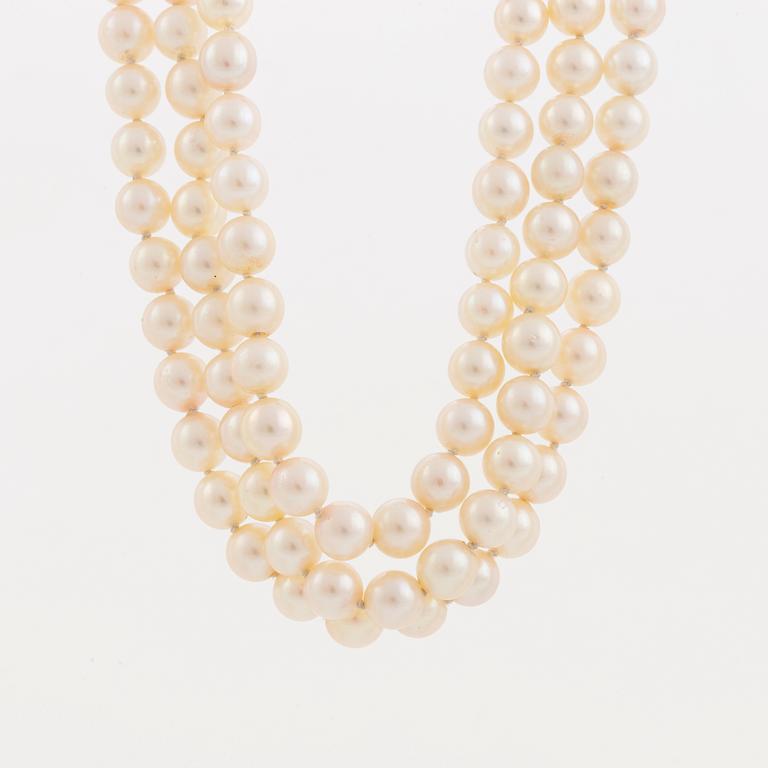 A three strand cultured pearl necklace.