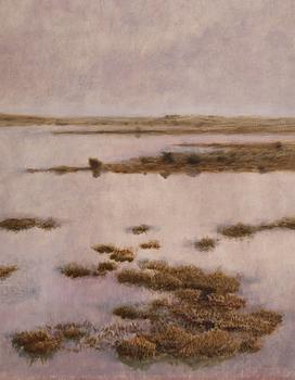 Bruno Liljefors, Geese in wetland.