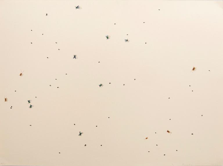 Ed Ruscha, "Pearl Dust Combination" from the series "Insects".