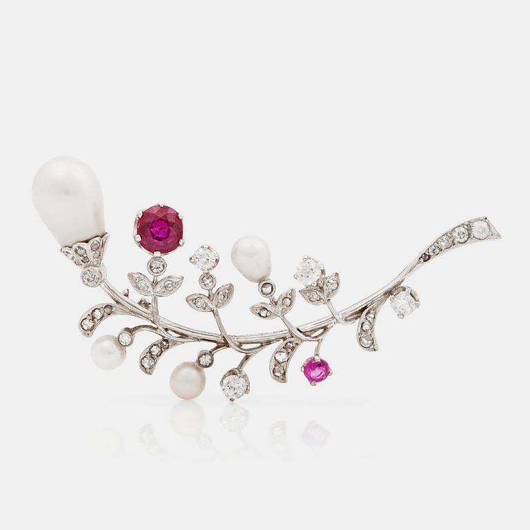 A ruby, old cut diamond and possibly natural freshwater pearl brooch.