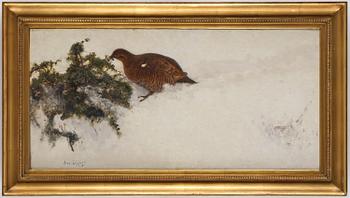 Bruno Liljefors, Capercaillie in winter landscape.