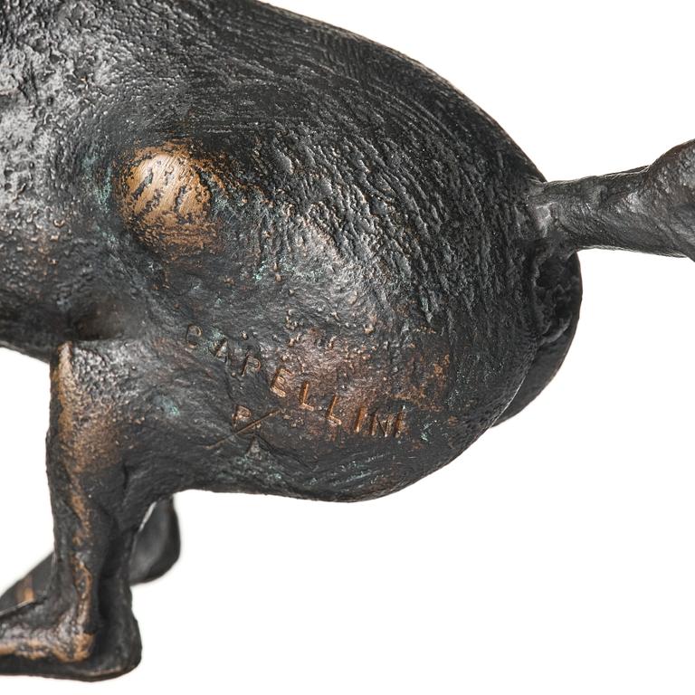 Sergio Capellini, stegrande häst.