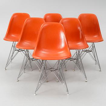 Charles & Ray Eames, chairs, 6 pcs, "DSR Plastic Chair", Herman Miller.