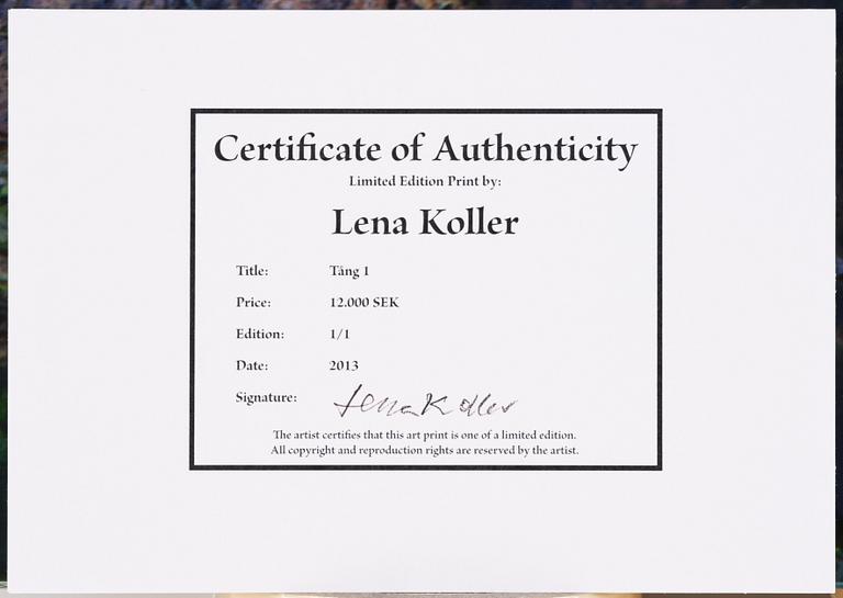 Lena Koller, "Tång", 2013.
