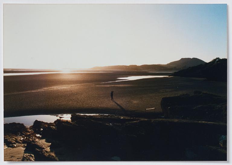 Dan Rees, fotografi, 2009.