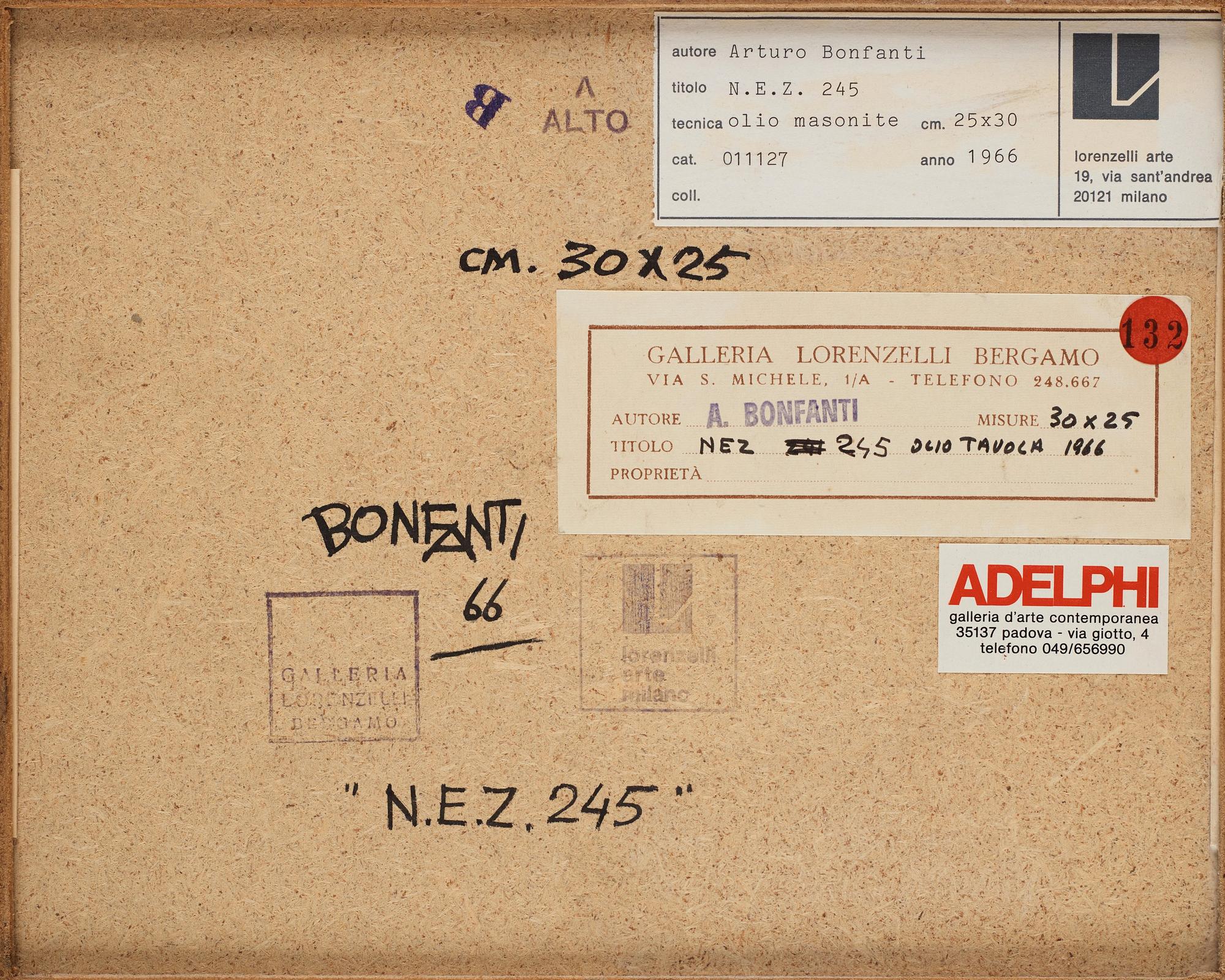 Arturo Bonfanti, "N:E:Z. 245".