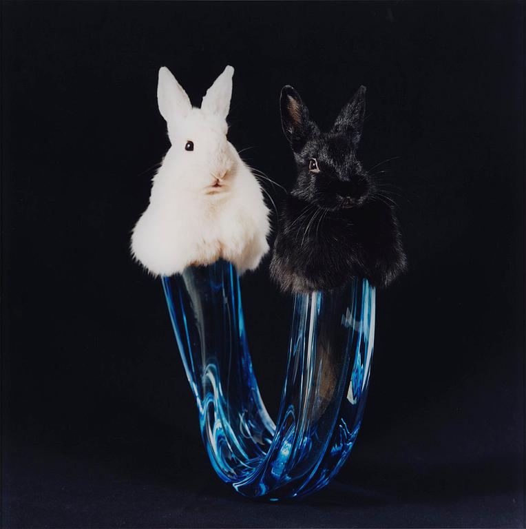 "Janus", 2003.