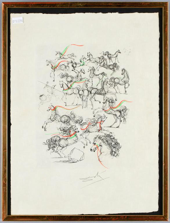SALVADOR DALÍ, etsning samt handkolorerad, sign.