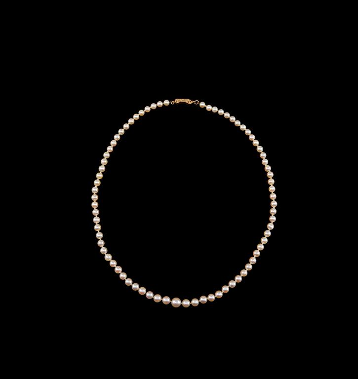 COLLIER, odlade saltvattenpärlor 5 - 8,5 mm. Lås 18K guld. Längd 54 cm.