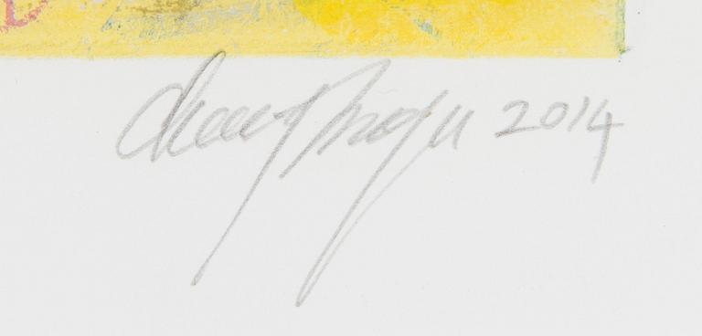 Canal Cheong-Jagerroos, Sommitelma.