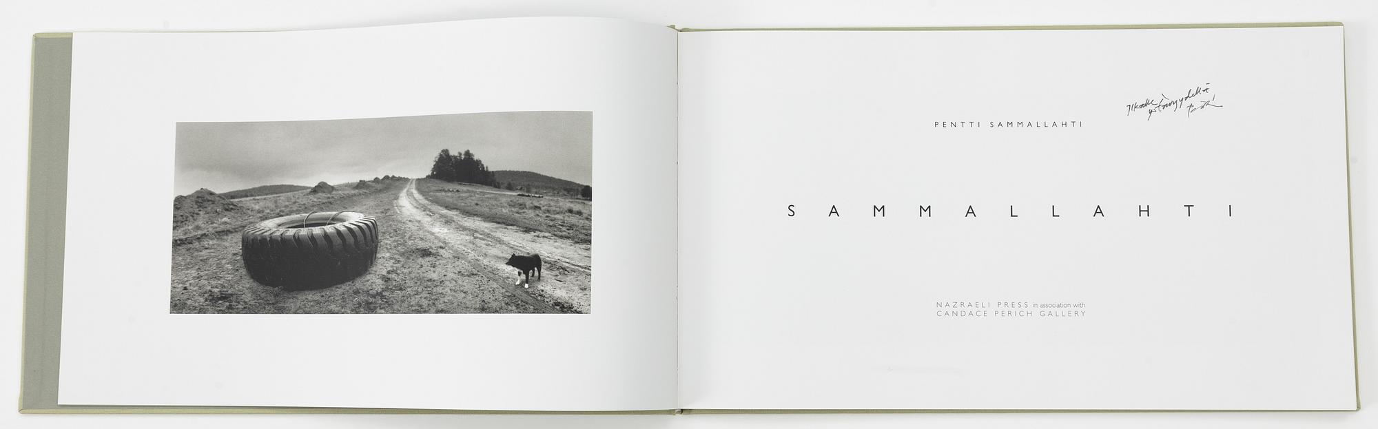 Pentti Sammallahti, "Sammallahti".