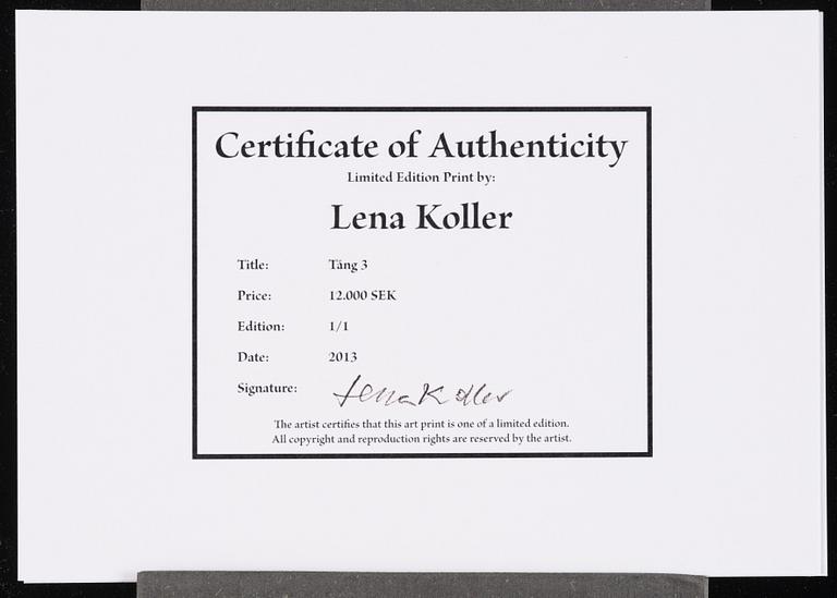 Lena Koller, "Tång", 2013.