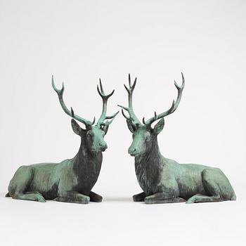 A pair of red deer.