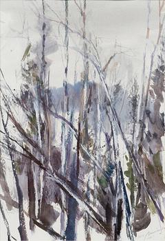 NANDOR MIKOLA, BIRCHES.