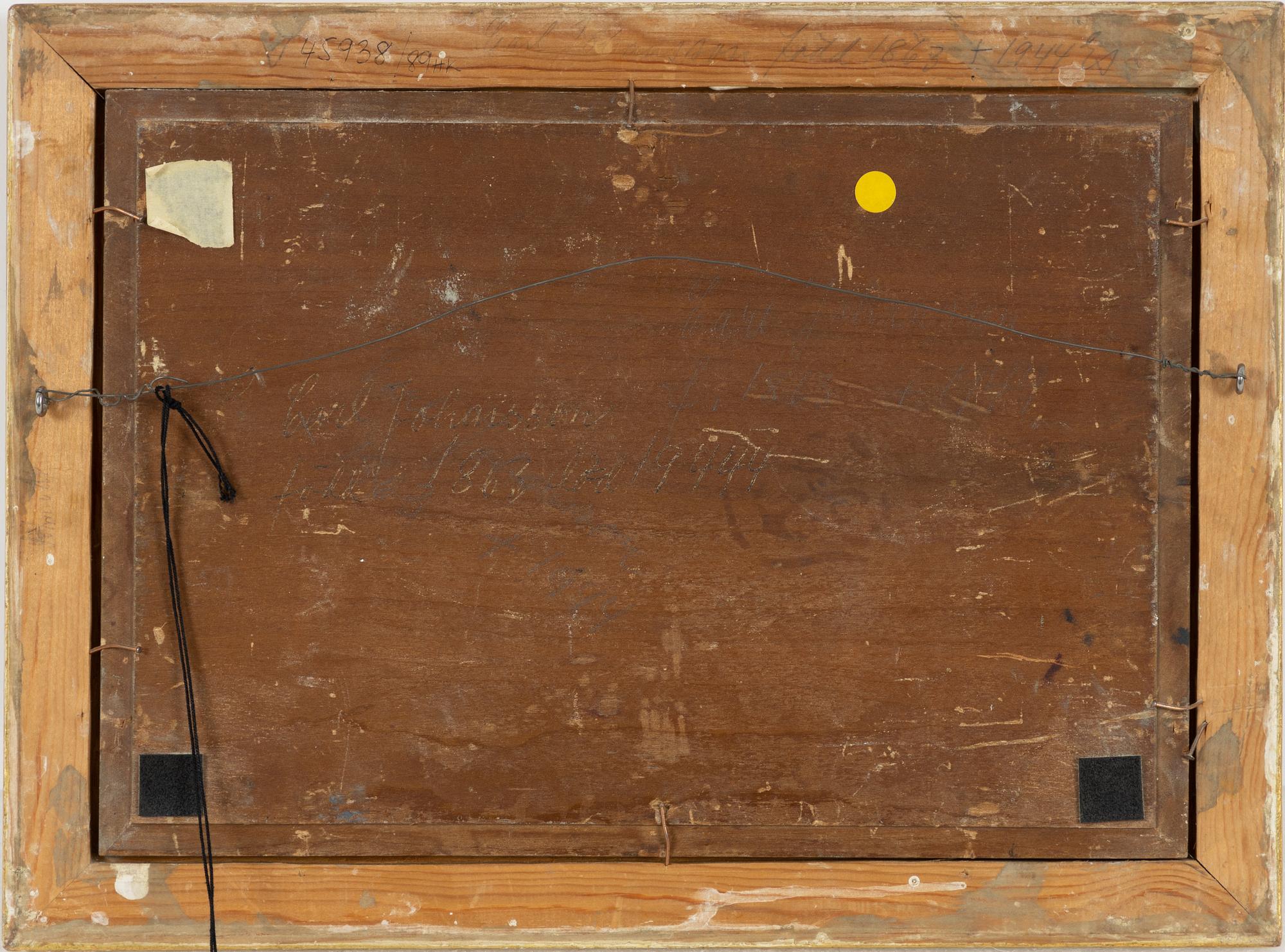 Carl Johansson, Teneriffa.