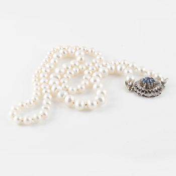 COLLIER, odlade pärlor med lås i 18K vitguld samt fasettslipade blå safirer.