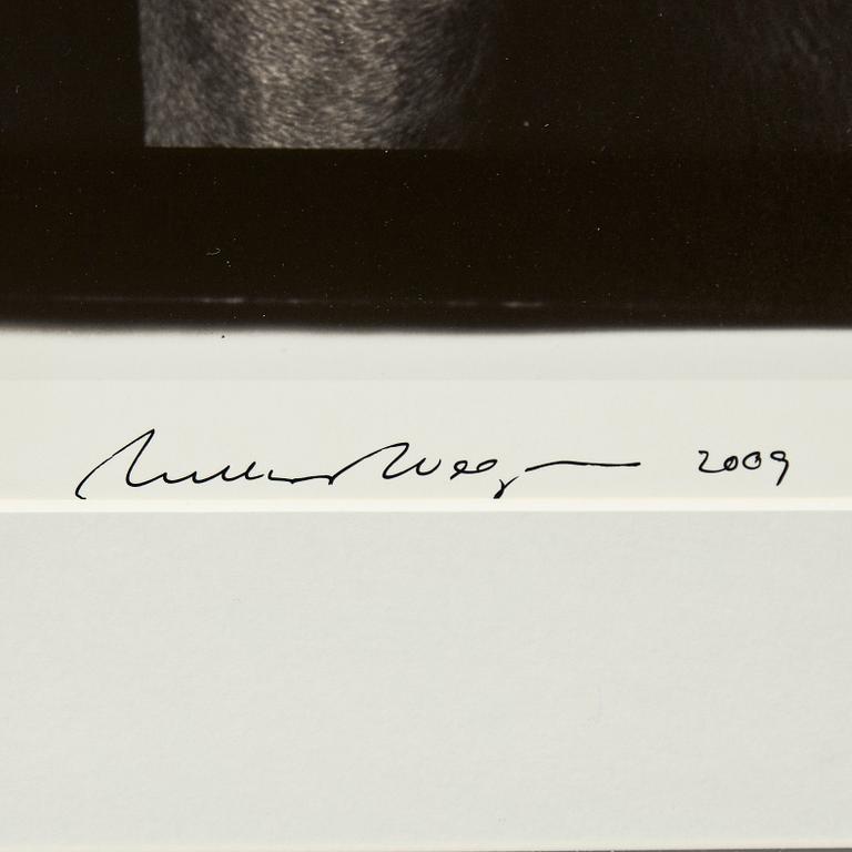 William Wegman, 'Friends'.