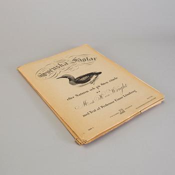 Ca 50 lithographic prints from "Svenska Fåglar", Brothers von Wright.