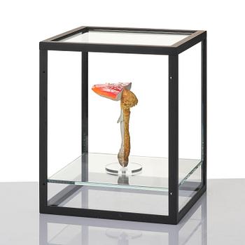 Carsten Höller, "Double Mushroom Vitrine (Once)".