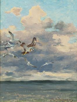 Thure Wallner, Sea birds.